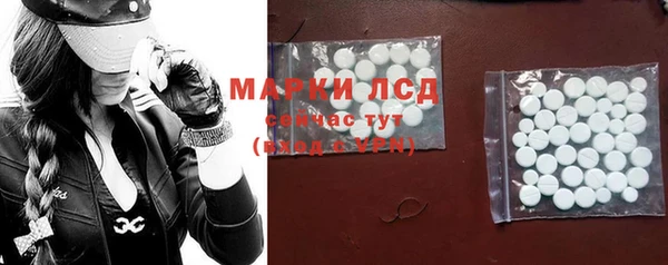 гидра Инсар