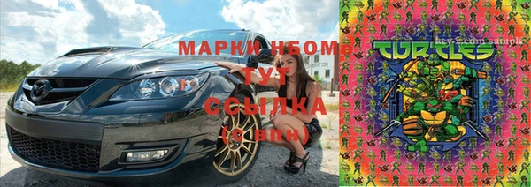 гидра Инсар