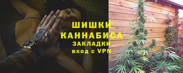 прущие крисы Каменка