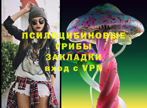 крисы Каменногорск